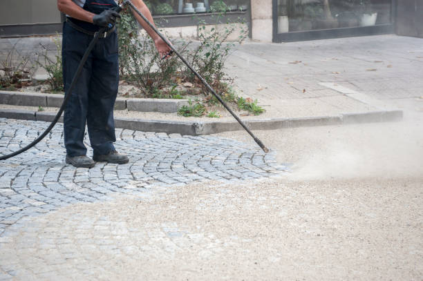 Best Sidewalk and Walkway Cleaning  in Nyon Lake, CA